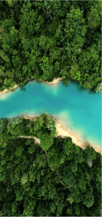 Earth - Forest & River